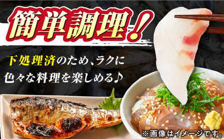【期間限定！】対馬産 鮮魚 詰め合わせ 4種前後 2.5kg 新鮮 天然 直送 セット [WAH021]
