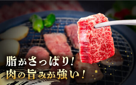 長崎和牛 あか牛 焼肉用 500g 対馬 牛 和牛 焼肉 冷凍配送 あか牛 赤身肉 赤身 ローストビーフ 牛肉 和牛 肉ギフト ギフト 肉料理 年末年始 パーティー クリスマス ディナー おつまみ BBQ バーベキュー 豪華 贅沢 家族 [WCR005]
