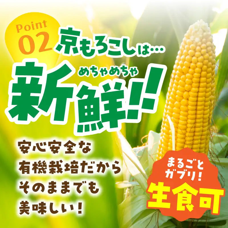 ＜てんとうむしばたけ＞有機とうもろこし5本