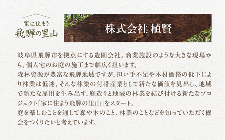 飛騨の山採り樹木で庭造り 庭施工 サービス 庭 造園  [Q2303]