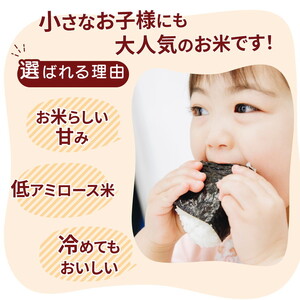 令和7年産 茨城県産 ミルキークイーン 精米8kg（2kg×4袋） ※離島への配送不可 ※2025年10月下旬～2026年7月下旬頃に順次発送予定 