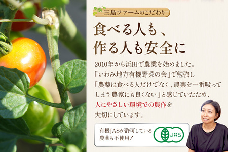 朝採り新鮮！有機野菜セット詰合せ（7～9種類） 採れたて 産地直送 葉物 有機JAS認証 野菜セット 旬の野菜 野菜 【139_1918】
