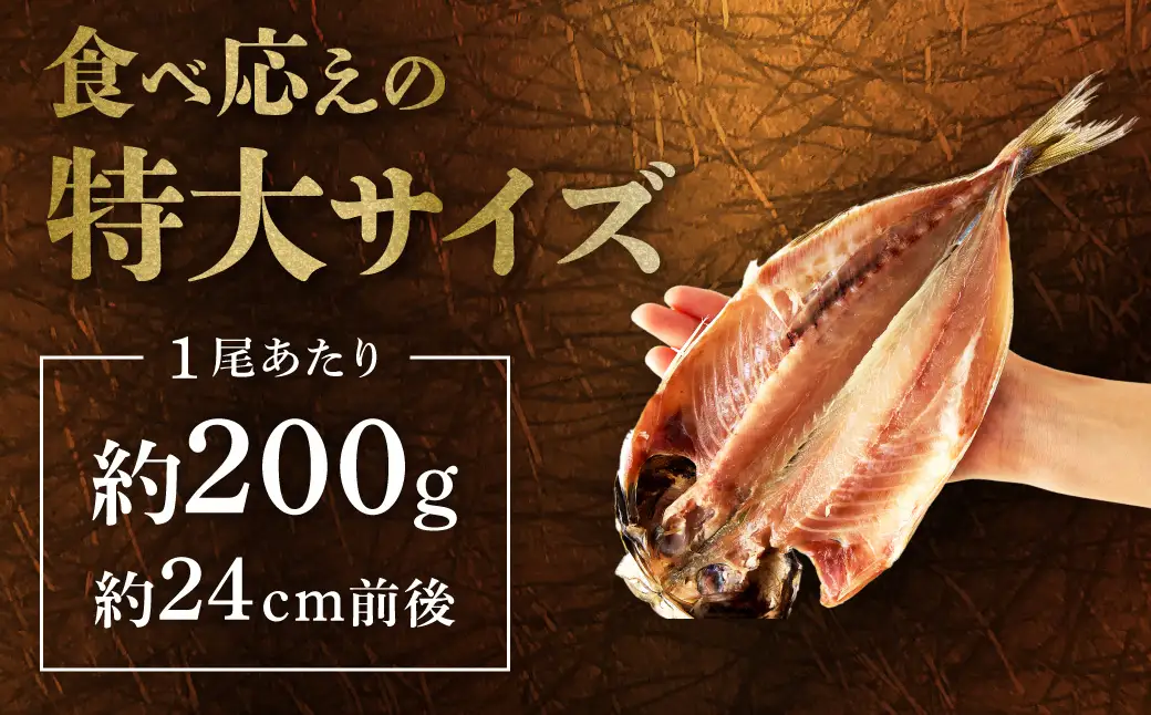 浜田市のブランド「どんちっちアジ」干物特大（200gサイズ）10枚個包装【019_1951】