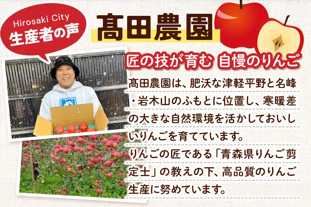 【26年11月下旬～発送】りんご【特選】サンふじ 約3kg  弘前市産 青森りんご