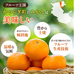 【先行予約】希少種みかん はれひめ 秀品 約5kg (25個～30個)  ※2026年12月中旬～2027年2月初旬頃に順次発送予定（お届け日指定不可）| 和歌山 みかん ミカン はれひめ フルーツ 柑橘 蜜柑 果物 くだもの 旬 産地直送【kgr004A】