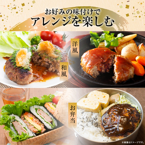 ＜全3回定期便・連続＞【訳あり】浜中牛＆ホエイ豚ハンバーグ定期便（計48個）_H0019-103