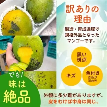 【2026年8月から順次発送・訳あり】JAおきなわ厳選!沖縄県産キーツマンゴー2kg(2～3玉)【配送不可地域：離島】【1494452】