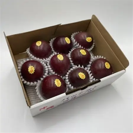 【2026年5月から順次発送・贈答用】パッションフルーツ1.0kg【1494497】