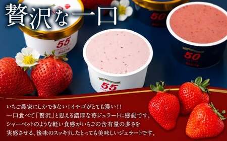 千年いちご【贈答用】スーパープレミアム あまおうジェラート(90g×3個)・あまおうミルクジェラート(90g×3個) 詰め合わせセット  フルーツ 牛乳 スイーツ デザート