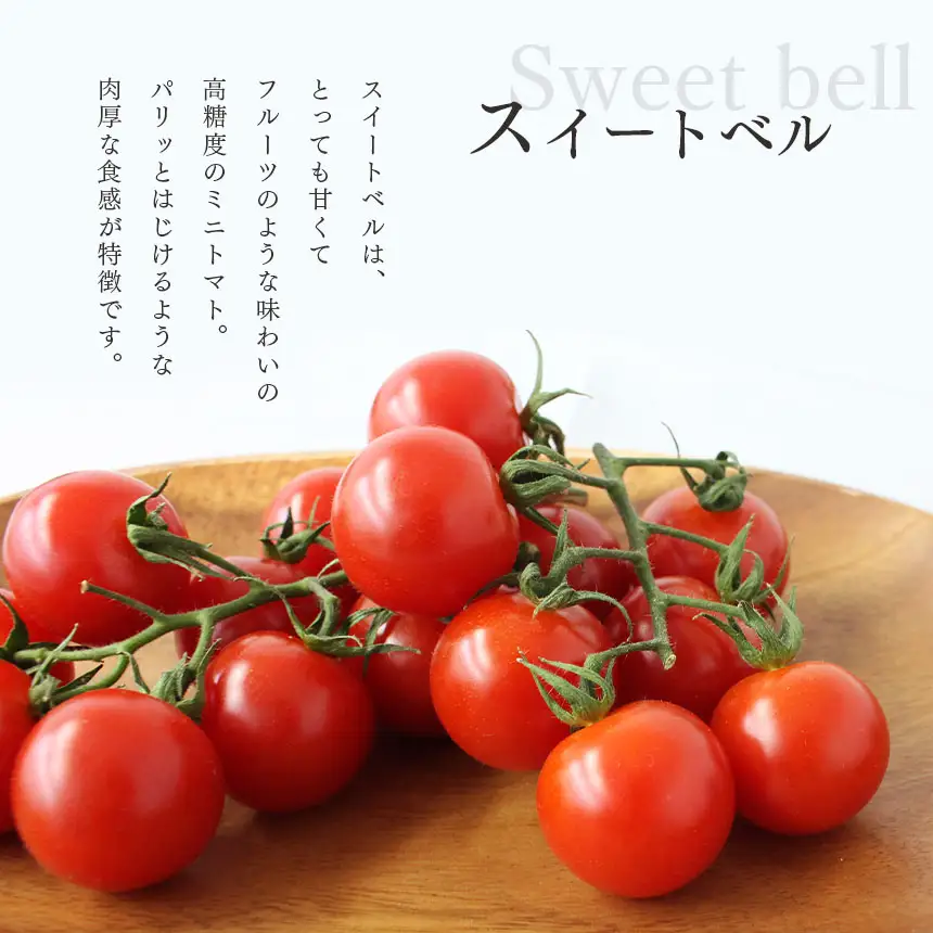 7月発送】 高糖度 ミニトマト スイートベル （ 房どり ） 180g × 10P