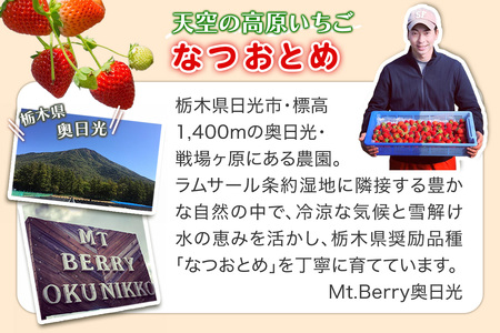 [期間限定／数量限定] 夏のいちご「なつおとめ」天空の高原いちご プレミアムギフト 計300g 贈答用 化粧箱入り 約2人分 いちご フルーツ 果物 [0366]