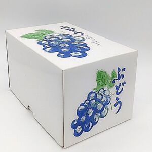 【南信州高森産】旬のシャインマスカット1房(約600g)