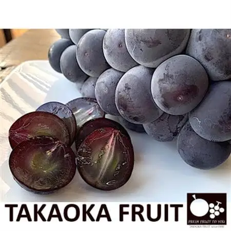 「産地より信州中野の旬をお届け」 種なし巨峰　贈答用　約1.8kg　【配送不可地域：離島】【1311075】