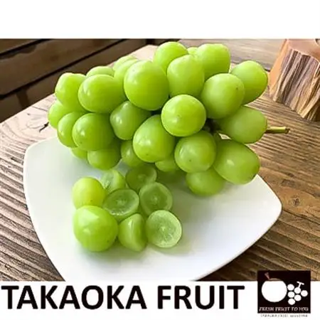 2026年発送「産地より信州中野の旬をお届け」 シャインマスカット　贈答用　約1.8kg【配送不可地域：離島】【1311089】