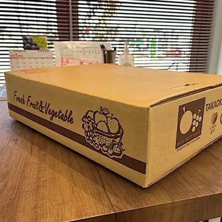 高丘フルーツの長野県産「ネクタリン」贈答用　約3Kg【配送不可地域：離島】【1407569】