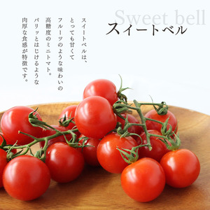 【6月発送】 高糖度 ミニトマト スイートベル （ ヘタなし ） 150g × 12P | 野菜 トマト ミニトマト プチトマト トマト 高糖度 トマト とまと 小分け 千葉 君津 きみつ