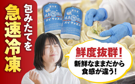餃子 岐阜餃子64個入り [ANEY001] 餃子