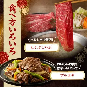 【牛肉】 船小屋牛 肩ローススライス 【500g】《筑後》【冷凍】 176-007