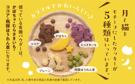 ビーガン 米粉クッキー缶 2缶セット（100g×2） グルテンフリー 猫型 ネコ型ビーガン 【96-8】