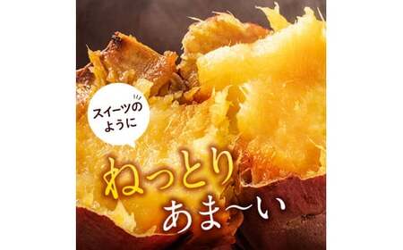 【数量限定】中園ファーム 熟成 安納焼きいも と 半熟 焼き干し芋 セット　NFN575【600pt】  
