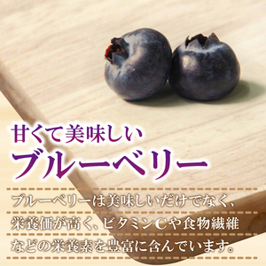 【2週間配送】ブルーベリー 600g（100×6パック）  生ブルーベリー 手摘み 大粒 フルーツ 果物 人気 徳島県 小松島市