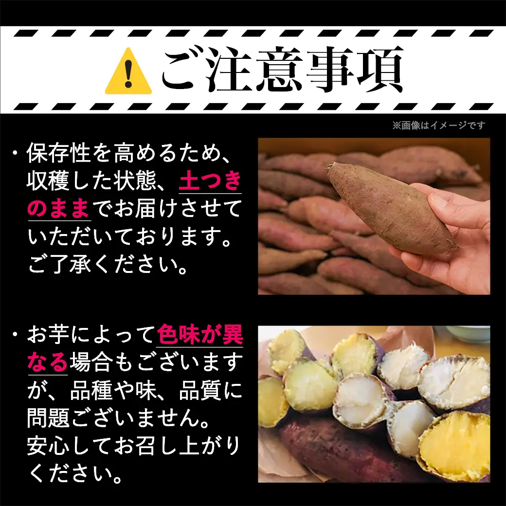先行受付!【11月お届け】島津甘藷　熟成紅はるか 5kg(2L～M)〔LE-A7-001-5kg-11〕_(都城市) 島津甘藷 紅はるか 未選別 5kg 2L～M