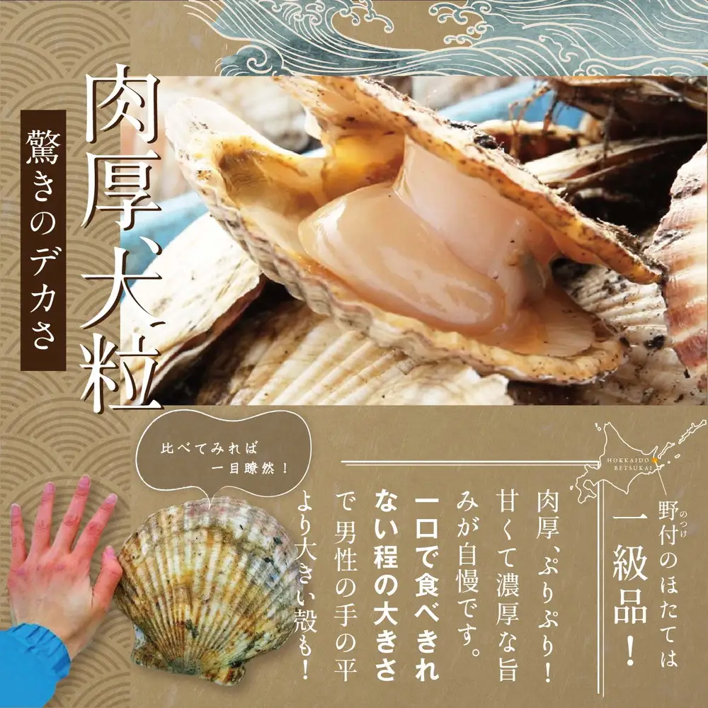 北海道 別海町 野付産 冷凍 ほたて 貝柱 500g（11～13玉前後）Lサイズ【KO0000003】