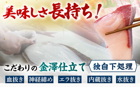 【冷蔵】【下処理済】鮮魚ボックス3種 五島市/金沢鮮魚[PEP007]  鮮魚 冷蔵 真空パック 新鮮 下処理済み 海鮮 刺身 お刺し身 お刺身 おさしみ セット 魚 魚介 魚介類 金澤仕立て  鮮魚 冷蔵 真空パック 新鮮 下処理済み 海鮮 刺身 セット