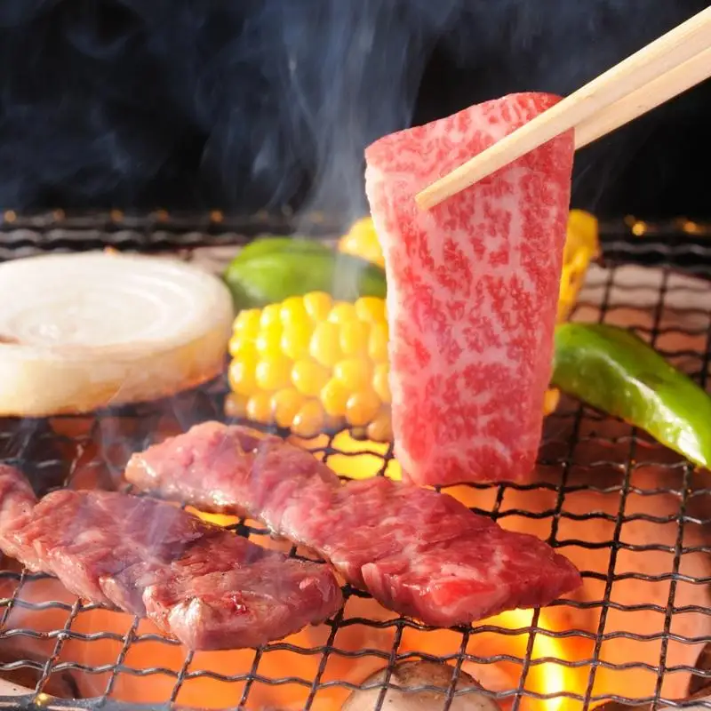 【お中元ギフト】黒毛和牛稀少部位を含む 特上焼肉極み500g 有田牧畜産業ブランドEMO牛 牛肉 焼肉 国産牛肉＜14-13a＞