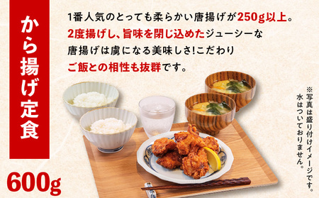 マジカル 冷凍定食 から揚げ 定食 K258-003 惣菜 総菜 冷凍