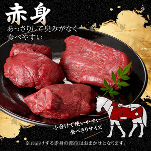 国産 馬刺し 赤身 コウネセット たれ付き 100g×3、コウネ50g×1 冷凍 国産の馬刺し 赤身の馬刺し  甘味を感じる馬刺し 臭みがない馬刺し 手作業で加工した馬刺し 176-018