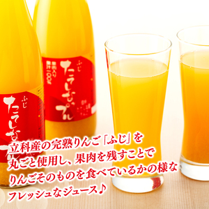 果肉入り林檎ジュース11本・おつまみセット