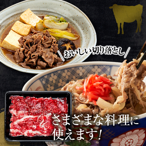 蓼科牛切落し400g×2