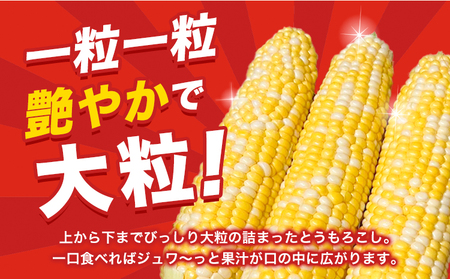 朝採りとうもろこし 河合農園のスイートコーン 12本 特大サイズ(1本380g以上) 河合農園《2026年8月上旬-9月中旬頃出荷》特大 北海道とうもろこし　とうもろこし　とうもろこし　とうもろこし 北海道 朝採れ 真空予冷 冷蔵 高糖度 夏野菜