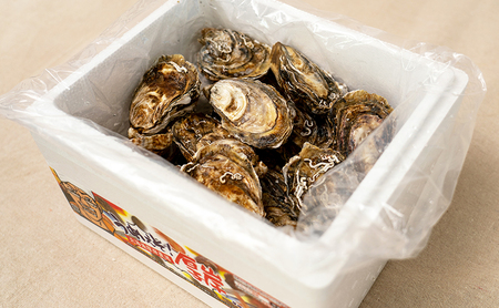 厚岸で産まれ30ヵ月育成 北海道 厚岸産 牡蠣 カキえもん LLサイズ 10個 カキ 