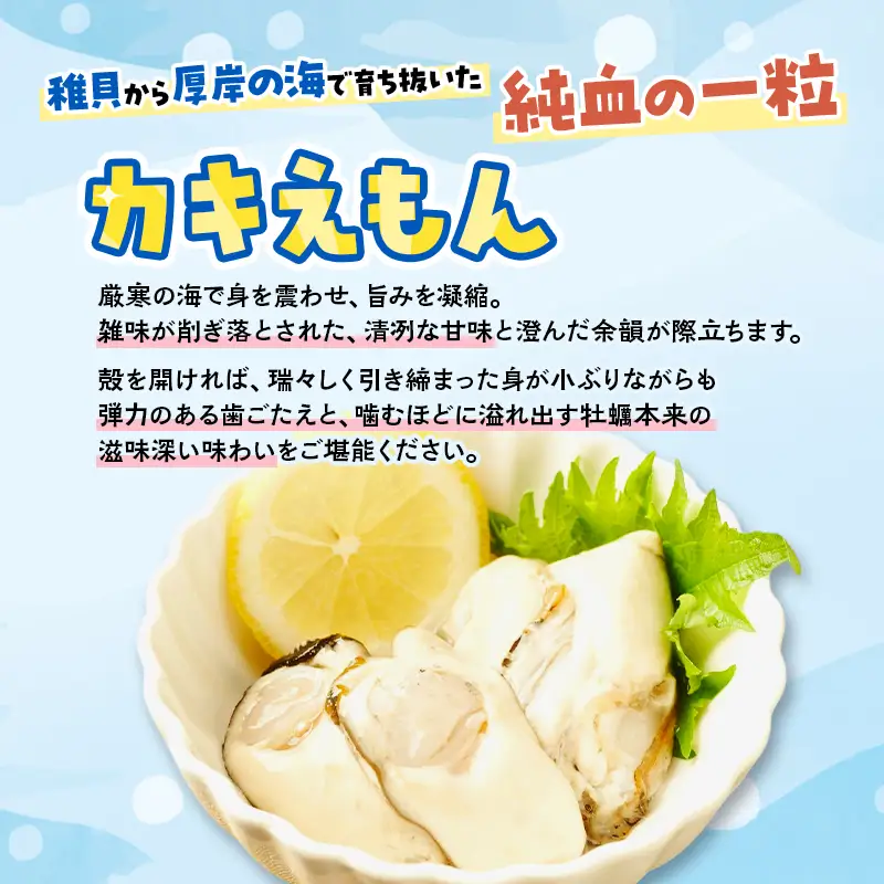 数量限定 北海道 厚岸産 ムキえもん 500g  カキの剥き身 牡蠣 カキ かき カキえもん