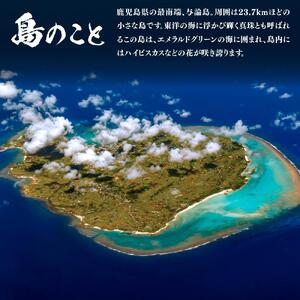 【ギフト用】ヨロンの島水と杜氏が造る★奄美黒糖焼酎 島有泉セット | お酒 焼酎