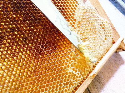 ビーグル養蜂園 はちみつ 3個セットギフトセレクション｜宇都宮産ミルフィオーリ Mille Fiori 大谷産 ハチミツ 国産 非加熱 純粋 蜂蜜 無添加 ギフト プレゼント 贈答品　※離島への配送不可