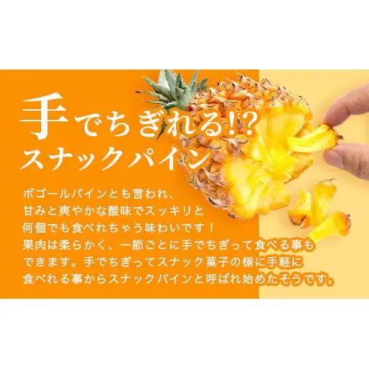 石垣島産完熟スナックパイン 2個セット 　TF-23_R8