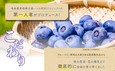 《2026年7月以降順次発送》ブルーベリー冷凍果実1kg（品種おまかせ） ブルーベリー フルーツ【東和ブルーベリー研究農園】
