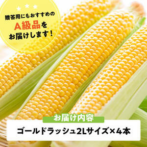 【令和8年発送】宮崎県産とうもろこし　スイートコーン「ゴールドラッシュ」2L×4本【新鮮 農家直送 トウモロコシ 産地直送 季節限定 期間限定 宮崎県産 九州産】
