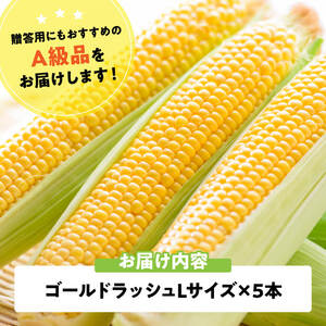 【令和8年発送】宮崎県産とうもろこし　スイートコーン「ゴールドラッシュ」L×5本【新鮮 農家直送 トウモロコシ 産地直送 季節限定 期間限定 宮崎県産 九州産】