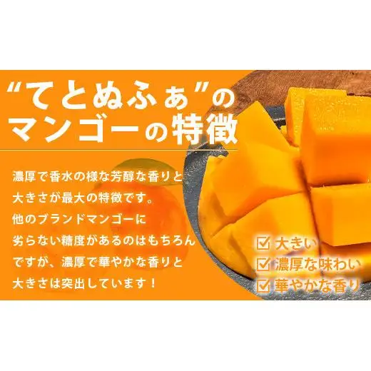 パイン＆マンゴーのよくばりセット！パイナップル マンゴー TF-24_R8