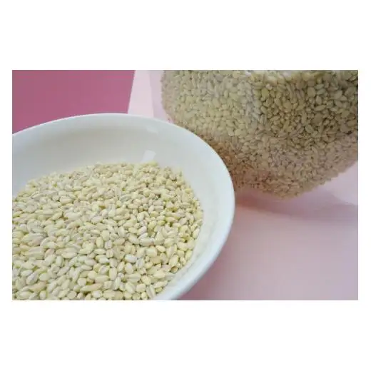 【2026年8月から発送】キラリもち麦 約2kg (約1kg×2袋)