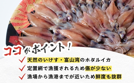 鮮度そのまま！富山湾の神秘ホタルイカ しゃぶしゃぶ用 200g 〈冷凍〉　ホタルイカ