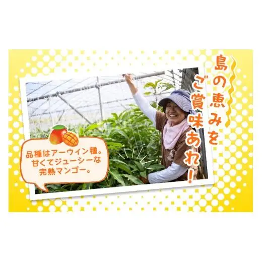 JH002《先行予約 2026年発送》宮古島産マンゴー２ｋｇ【(株)フラモン】