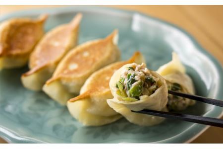 手作り 焼き餃子 ( 冷凍 ) 20個 【 手作り餃子の店 吉春 】 |  冷凍餃子 地元野菜 ・ 国産素材 を使用 