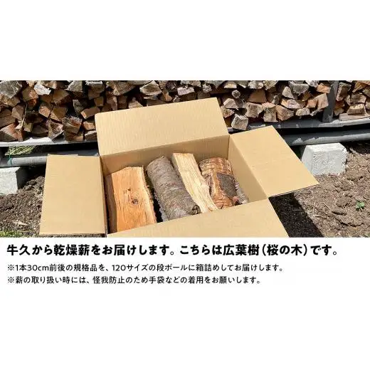 牛久市産 乾燥 薪 桜 ( さくら ) 約14kg～16kg