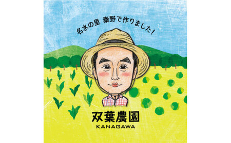 【大好評!!】　枝つき枝豆　”湯上り娘”　（約1,600g）『from 名水の里 秦野』　|　野菜 おつまみ 農家直送 007-30-1