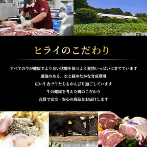神戸牛 焼肉セット 6種 600g 食べ比べ 牛肉 肉 焼き肉 国産